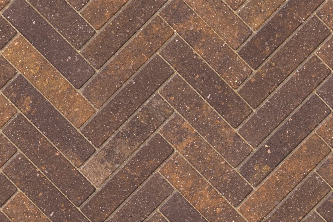 Dutch Pavers