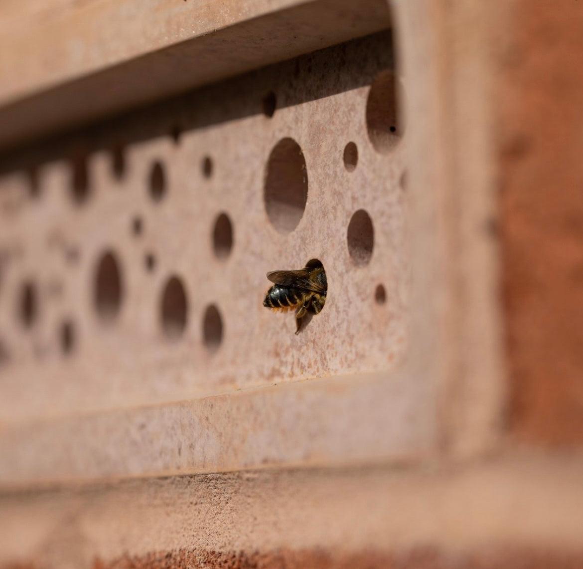 Bee Brick - Reclaimed Brick Company